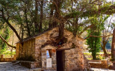 Το μυστηριώδες εκκλησάκι με τα 17 δέντρα